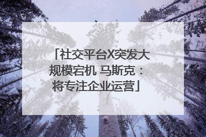 社交平台X突发大规模宕机 马斯克：将专注企业运营