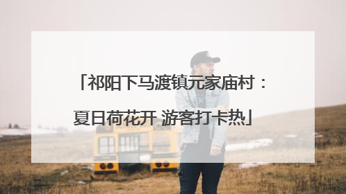 祁阳下马渡镇元家庙村：夏日荷花开 游客打卡热