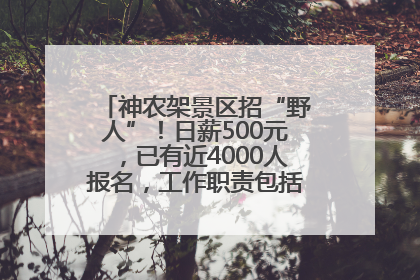 神农架景区招“野人”！日薪500元，已有近4000人报名，工作职责包括“接受游客投喂”