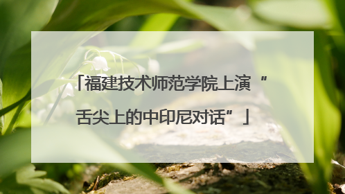 福建技术师范学院上演“舌尖上的中印尼对话”