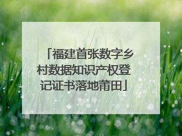 福建首张数字乡村数据知识产权登记证书落地莆田