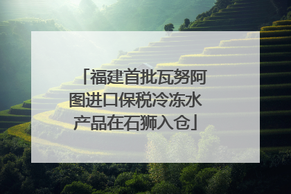福建首批瓦努阿图进口保税冷冻水产品在石狮入仓
