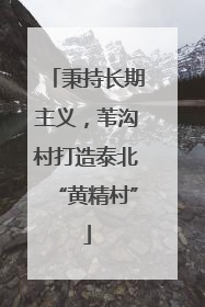 秉持长期主义，苇沟村打造泰北“黄精村”