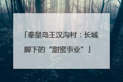 秦皇岛王汉沟村：长城脚下的“甜蜜事业”