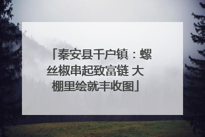 秦安县千户镇：螺丝椒串起致富链 大棚里绘就丰收图