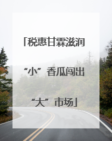 税惠甘霖滋润“小”香瓜闯出“大”市场
