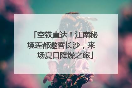 空铁直达！江南秘境莲都邀客长沙，来一场夏日降燥之旅