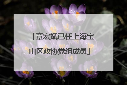 章宏斌已任上海宝山区政协党组成员