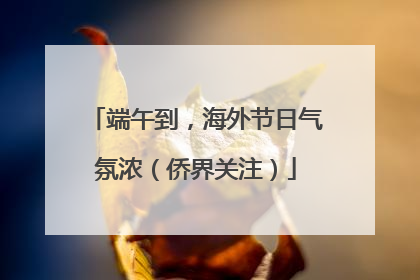 端午到，海外节日气氛浓（侨界关注）