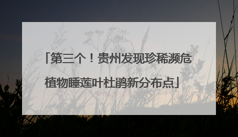 第三个！贵州发现珍稀濒危植物睡莲叶杜鹃新分布点