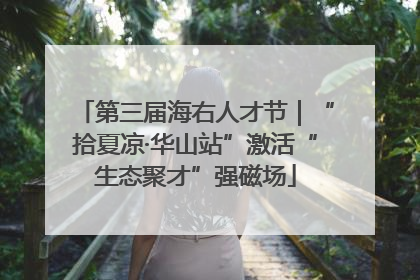 第三届海右人才节｜“拾夏凉·华山站”激活“生态聚才”强磁场