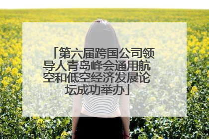 第六届跨国公司领导人青岛峰会通用航空和低空经济发展论坛成功举办