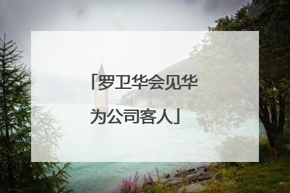 罗卫华会见华为公司客人