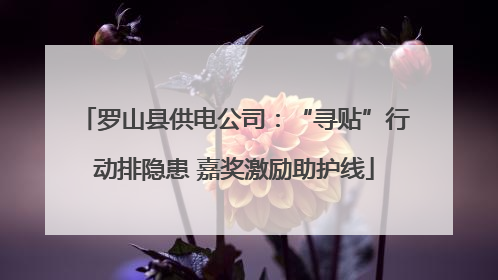 罗山县供电公司：“寻贴”行动排隐患 嘉奖激励助护线
