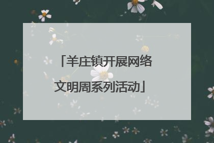 羊庄镇开展网络文明周系列活动