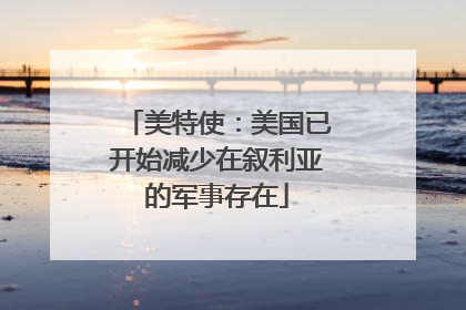 美特使：美国已开始减少在叙利亚的军事存在