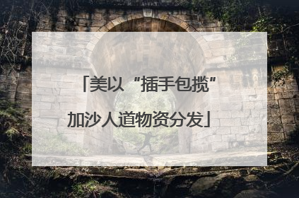 美以“插手包揽”加沙人道物资分发