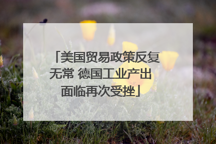 美国贸易政策反复无常 德国工业产出面临再次受挫
