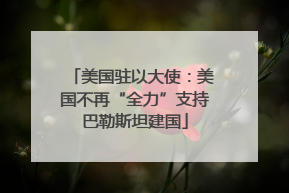 美国驻以大使：美国不再“全力”支持巴勒斯坦建国