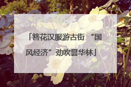 簪花汉服游古街 “国风经济”劲吹昙华林