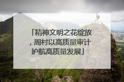 精神文明之花绽放，周村以高质量审计护航高质量发展