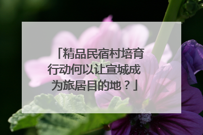 精品民宿村培育行动何以让宣城成为旅居目的地？