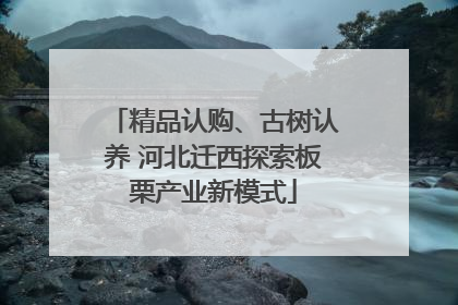 精品认购、古树认养 河北迁西探索板栗产业新模式
