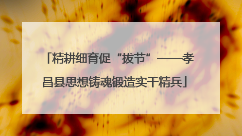 精耕细育促“拔节”——孝昌县思想铸魂锻造实干精兵