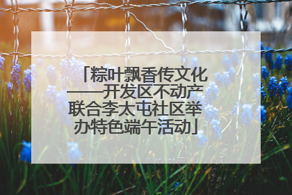 粽叶飘香传文化——开发区不动产联合李太屯社区举办特色端午活动