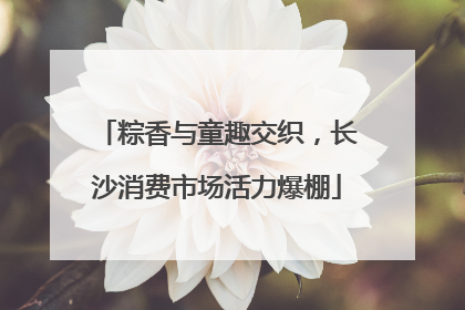 粽香与童趣交织，长沙消费市场活力爆棚