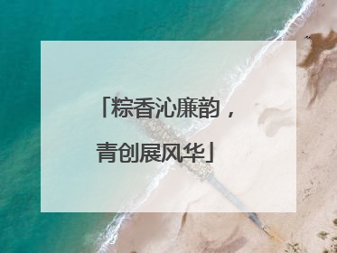 粽香沁廉韵，青创展风华