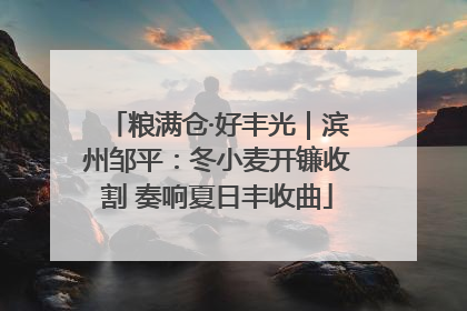 粮满仓·好丰光｜滨州邹平：冬小麦开镰收割 奏响夏日丰收曲
