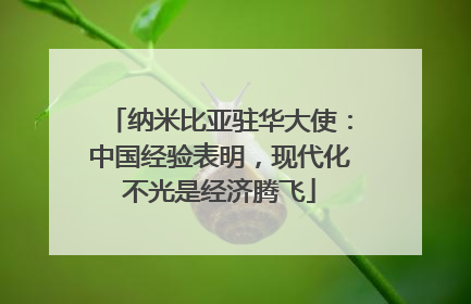 纳米比亚驻华大使：中国经验表明，现代化不光是经济腾飞