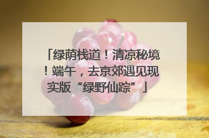 绿荫栈道！清凉秘境！端午，去京郊遇见现实版“绿野仙踪”
