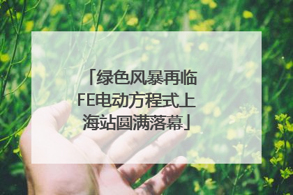 绿色风暴再临 FE电动方程式上海站圆满落幕