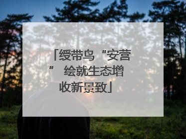 绶带鸟“安营” 绘就生态增收新景致