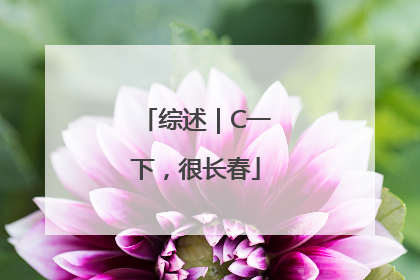 综述｜C一下，很长春