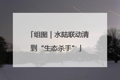 组图｜水陆联动清剿“生态杀手”