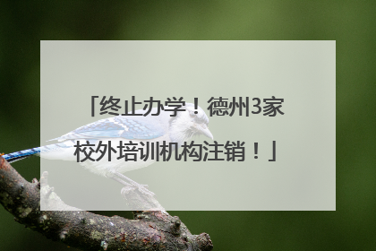 终止办学！德州3家校外培训机构注销！