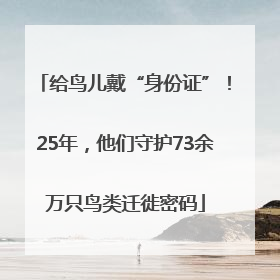 给鸟儿戴“身份证”！25年，他们守护73余万只鸟类迁徙密码