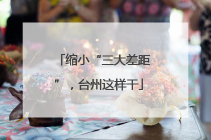 缩小“三大差距”，台州这样干