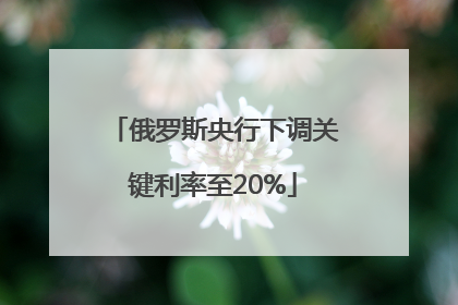 俄罗斯央行下调关键利率至20%