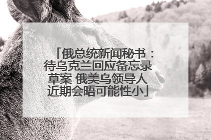 俄总统新闻秘书：待乌克兰回应备忘录草案 俄美乌领导人近期会晤可能性小