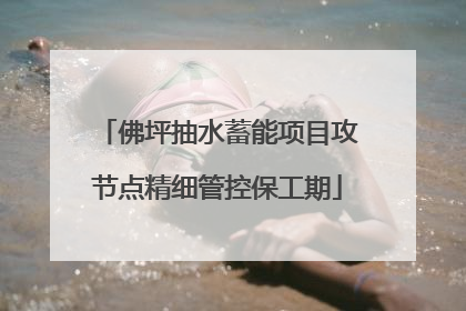 佛坪抽水蓄能项目攻节点精细管控保工期
