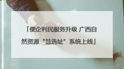便企利民服务升级 广西自然资源“慧选址”系统上线