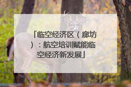 临空经济区（廊坊）：航空培训赋能临空经济新发展