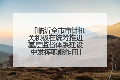 临沂全市审计机关积极在统筹推进基层监督体系建设中发挥职能作用