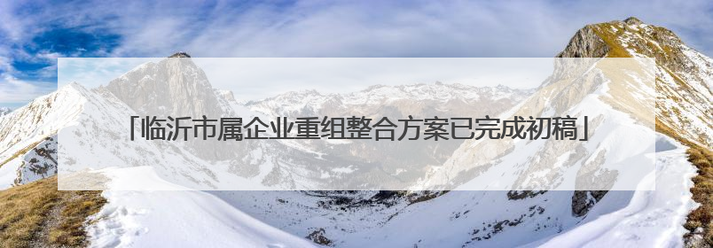 临沂市属企业重组整合方案已完成初稿