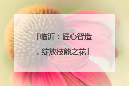 临沂：匠心智造，绽放技能之花