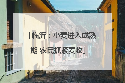临沂：小麦进入成熟期 农民抓紧麦收